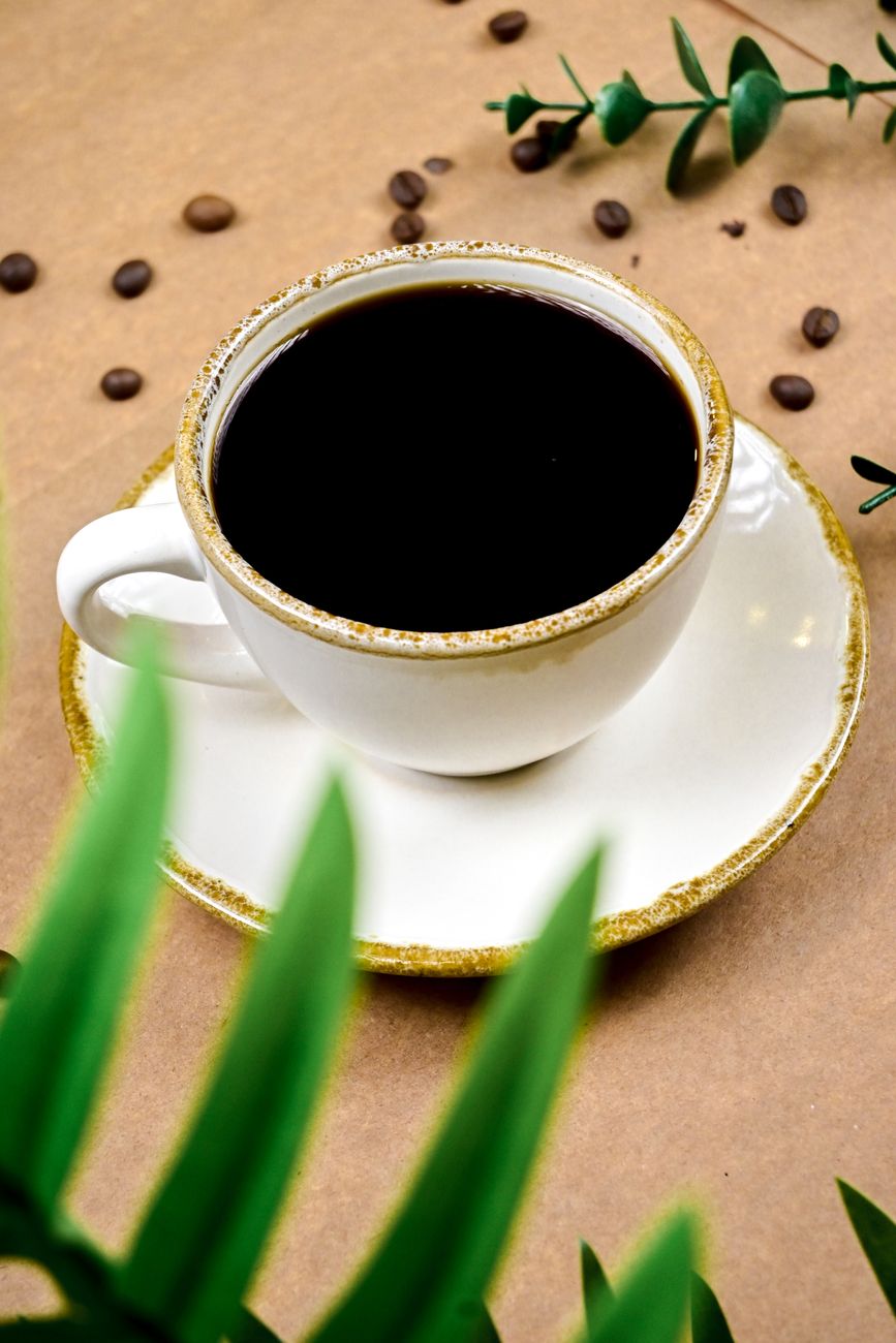 Stylish porcelain cup filled with black coffee, surrounded by coffee beans and greenery, perfect for coffee lovers.
