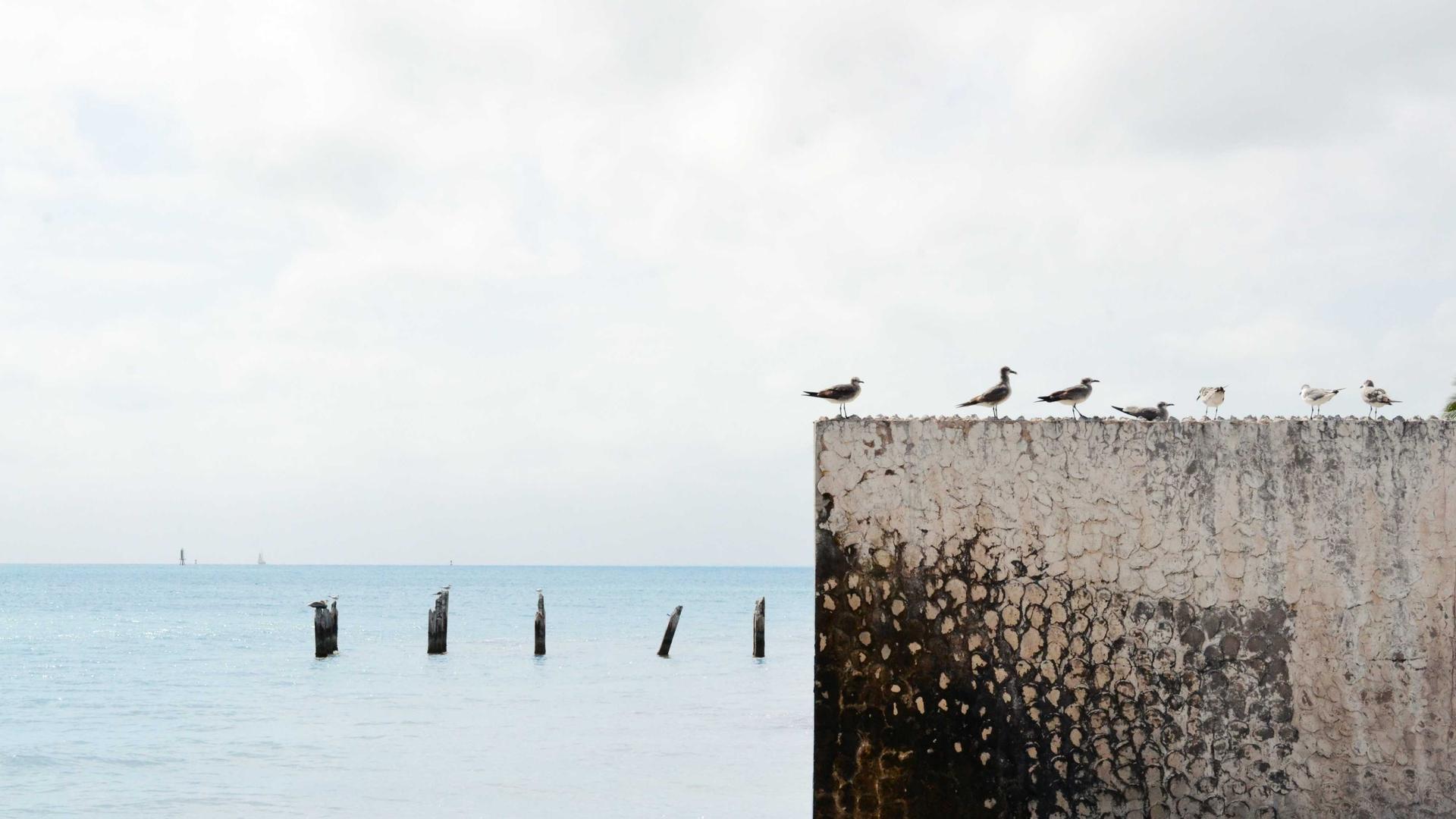 Random image from Lorem Picsum