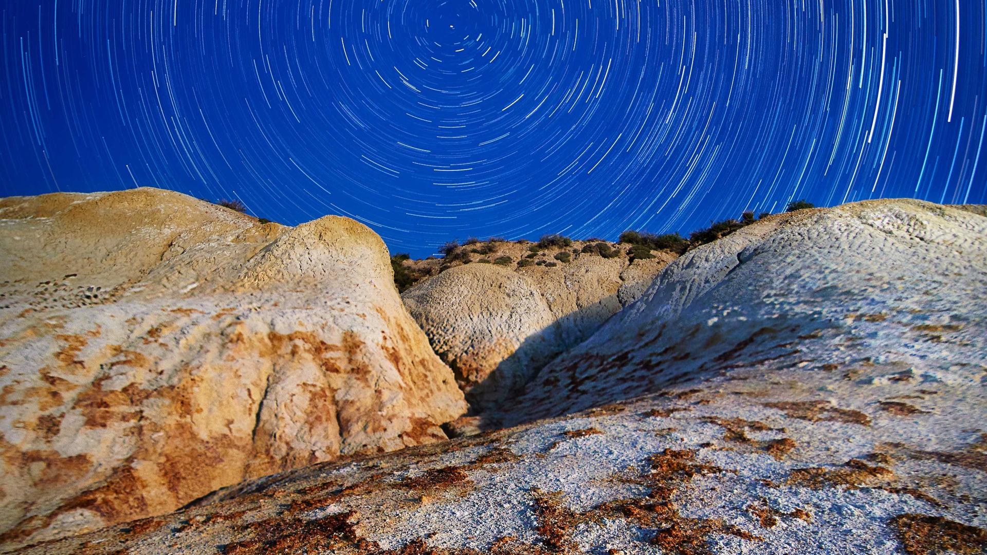 Random image from Lorem Picsum