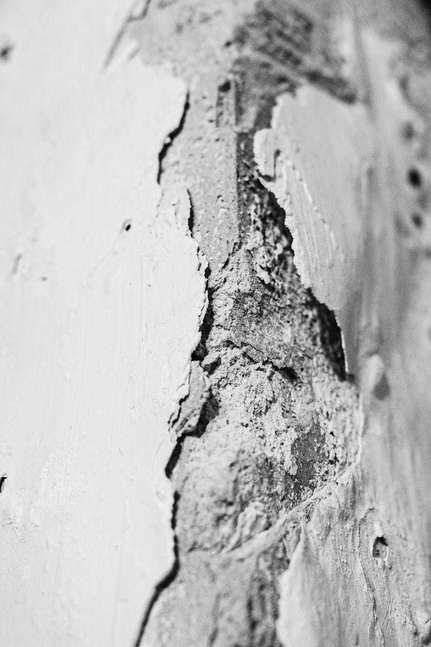 Close-up of a textured cracked wall in monochrome, highlighting intricate details.