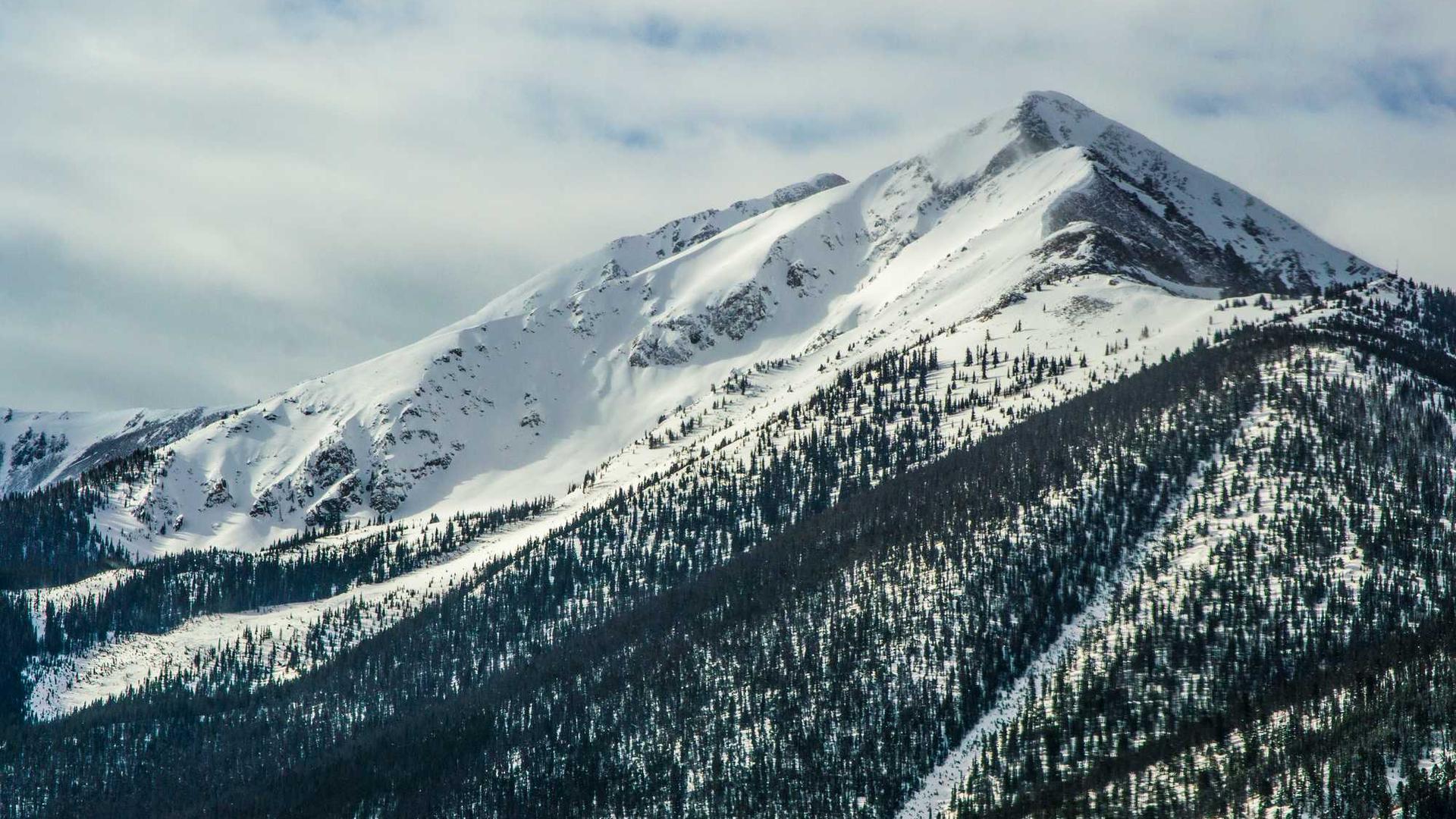 Random image from Lorem Picsum