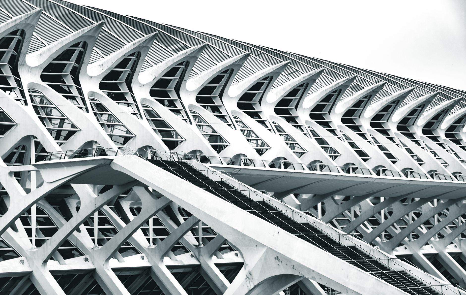 Dynamic black and white shot of Valencia's Science Museum showcasing modern architectural design.