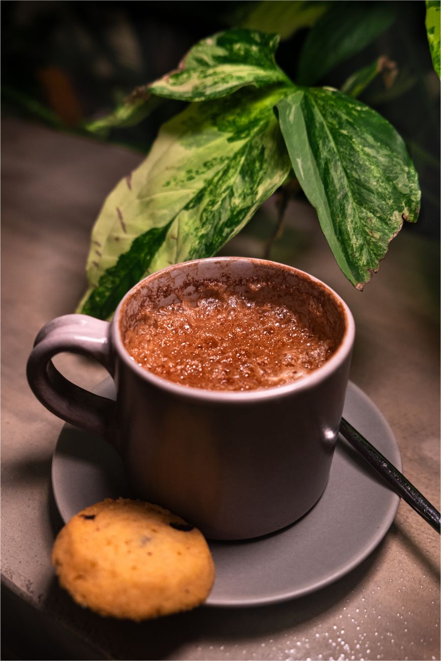 A steaming cup of hot chocolate with a cookie, set in a cozy café with lush green leaves as backdrop.