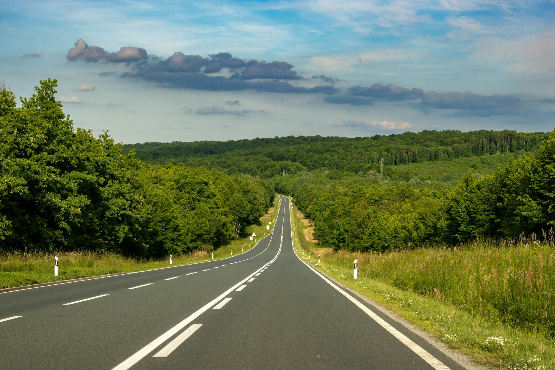 A picturesque road stretching through a lush green forest under a clear summer sky in Grubišno Polje, Croatia.