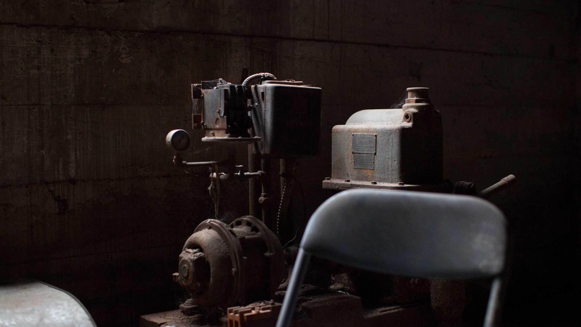 Random image from Lorem Picsum