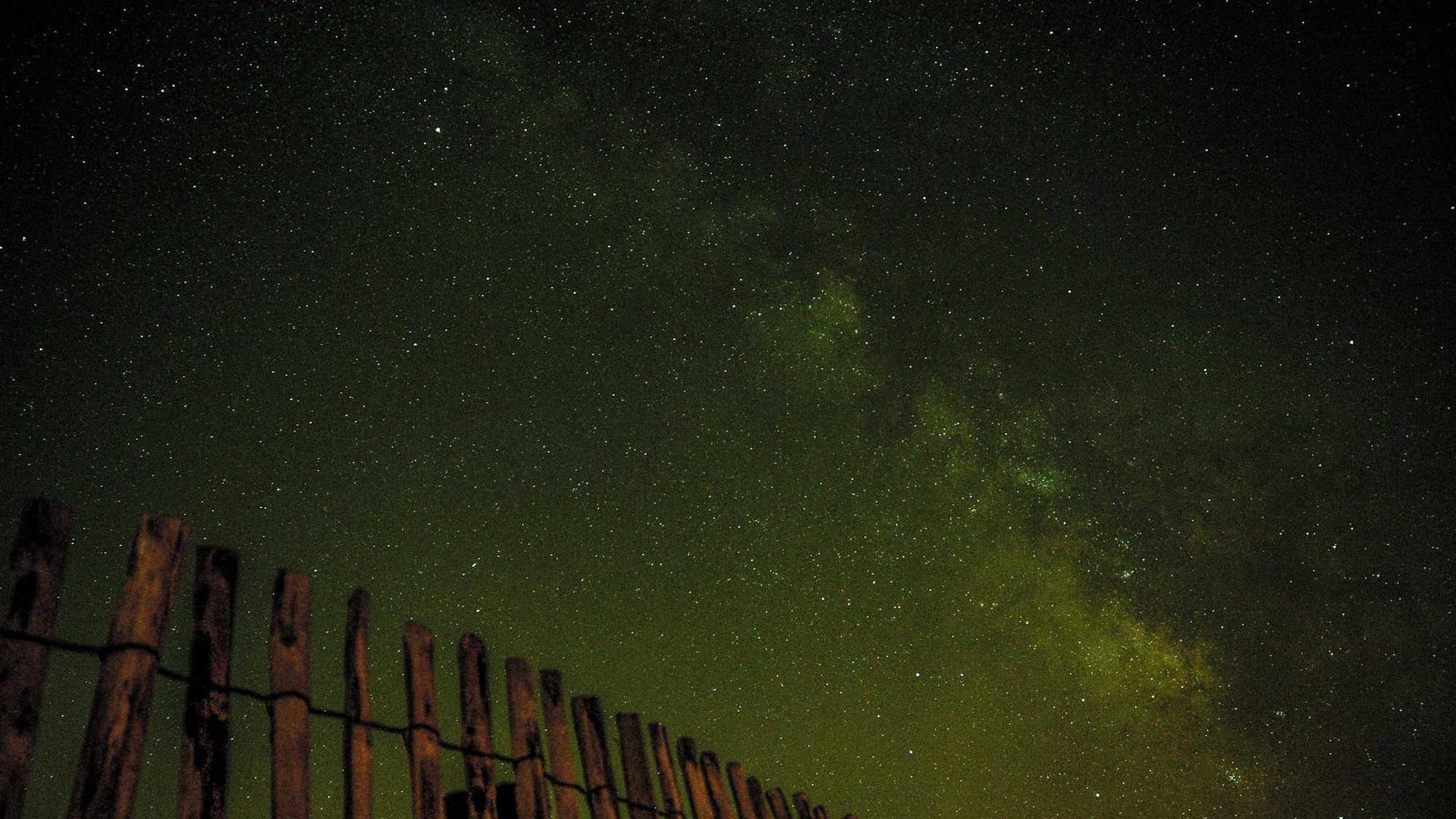 Random image from Lorem Picsum