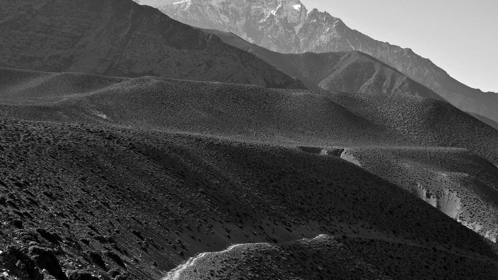 Random image from Lorem Picsum