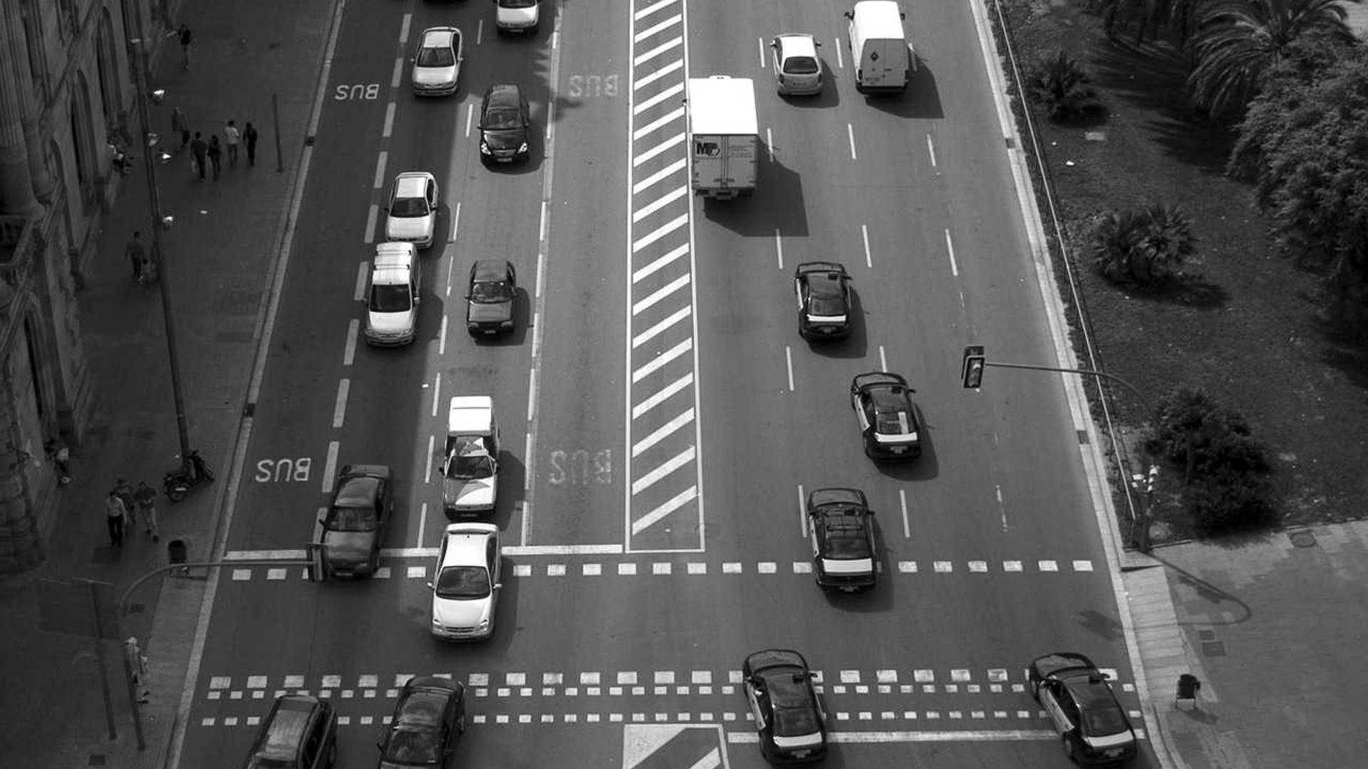 Random image from Lorem Picsum