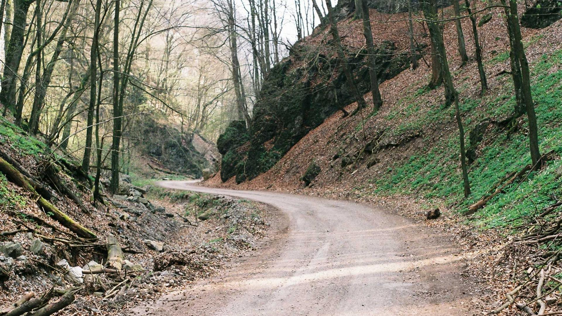 Random image from Lorem Picsum