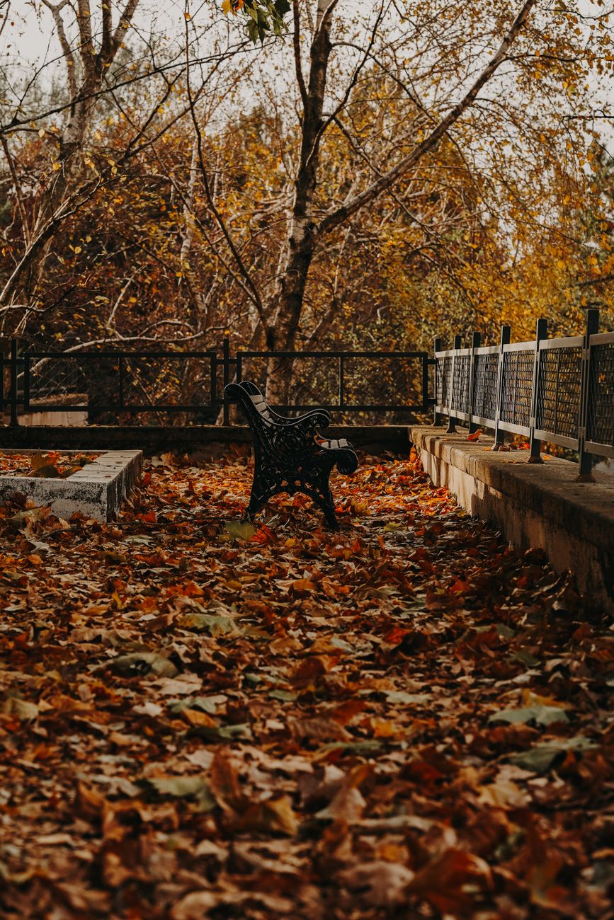 A tranquil park scene in Ankara, Türkiye featuring an empty bench surrounded by colorful autumn leaves and trees.