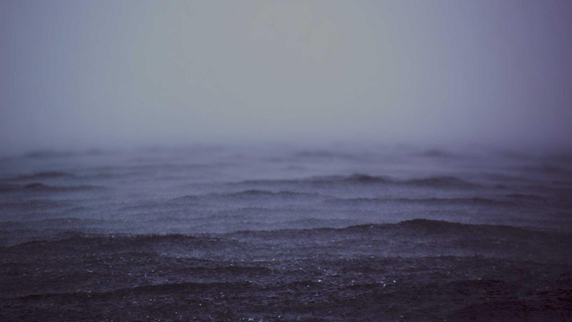 Random image from Lorem Picsum