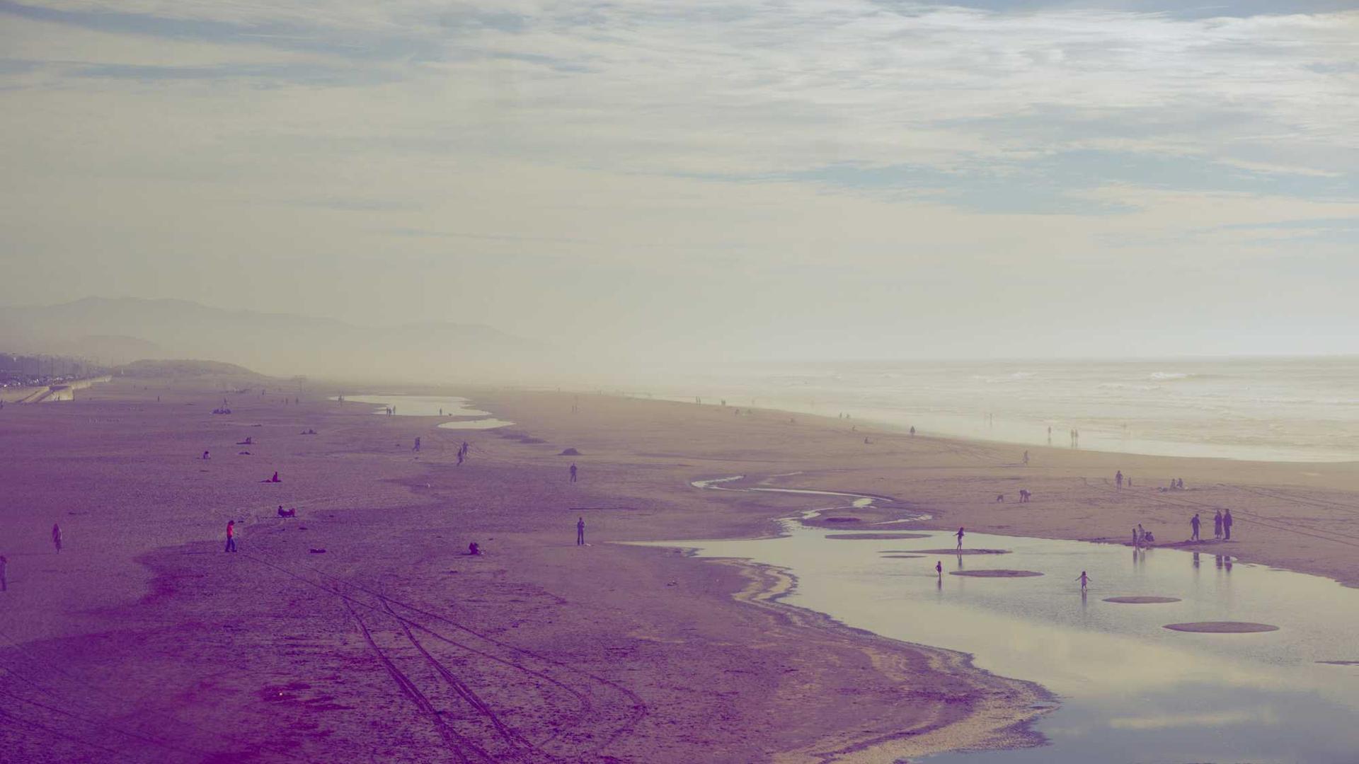 Random image from Lorem Picsum