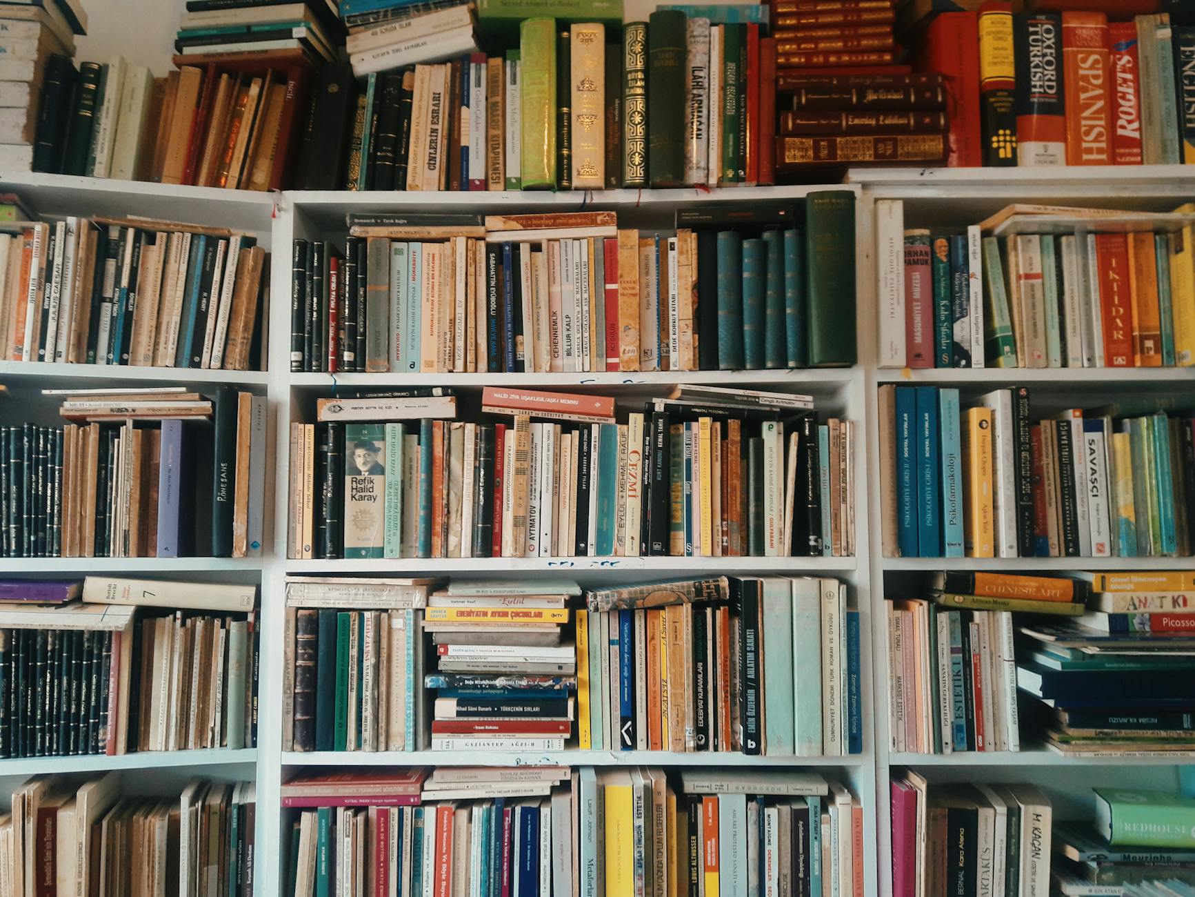 A vast collection of books arranged on wooden shelves in a cozy library setting.