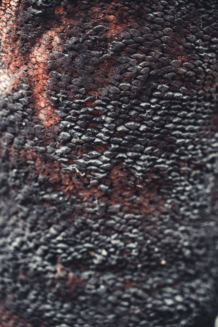 Detailed close-up of charred tree bark texture, showcasing the intricate patterns and colors.