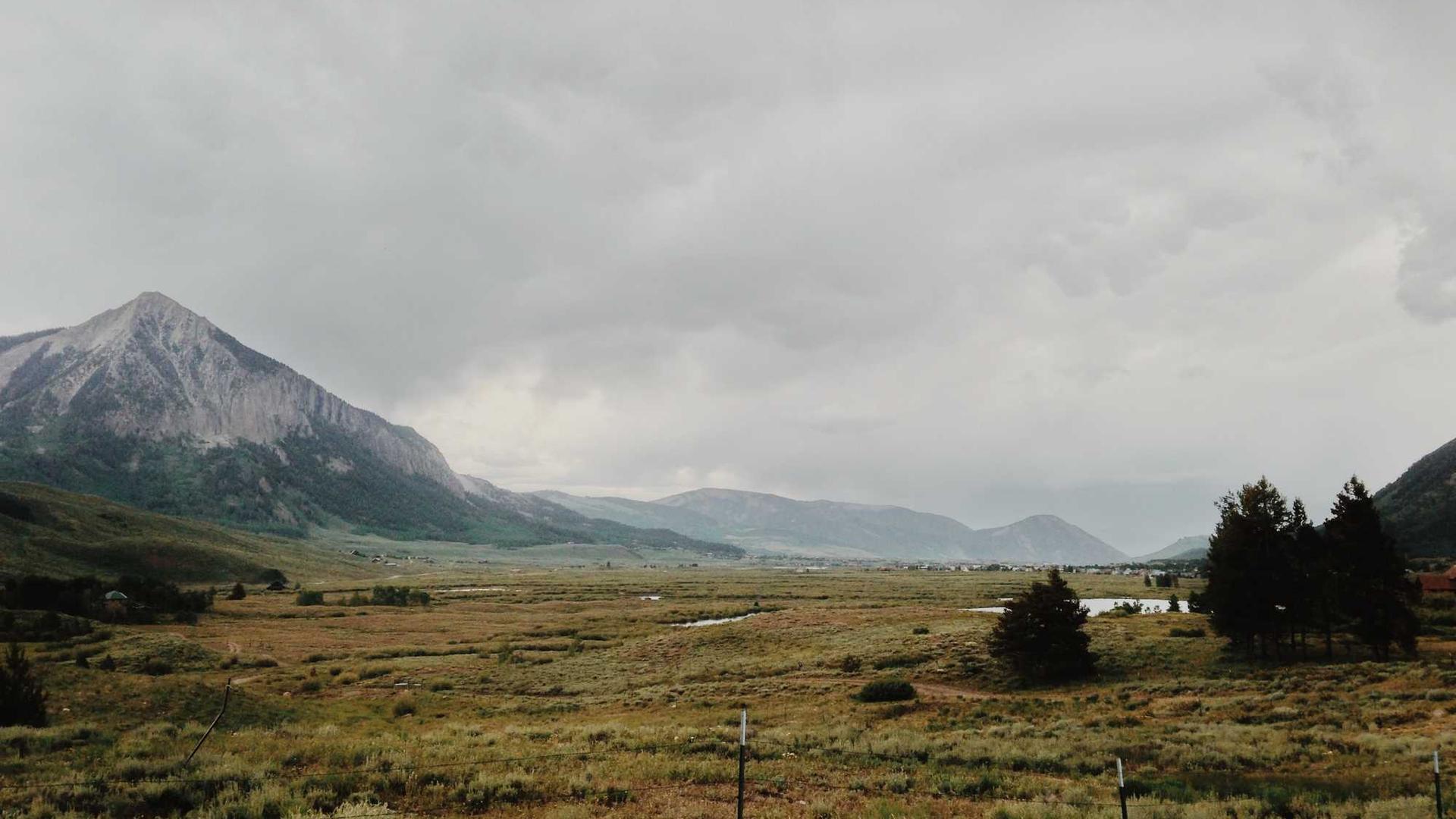 Random image from Lorem Picsum