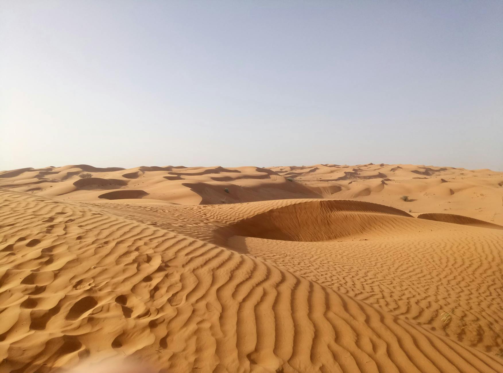 Vast sand dunes under a clear sky in the UAE desert, showcasing ripple patterns and arid beauty.