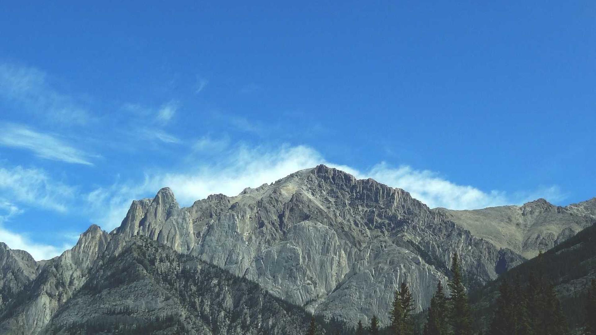 Random image from Lorem Picsum