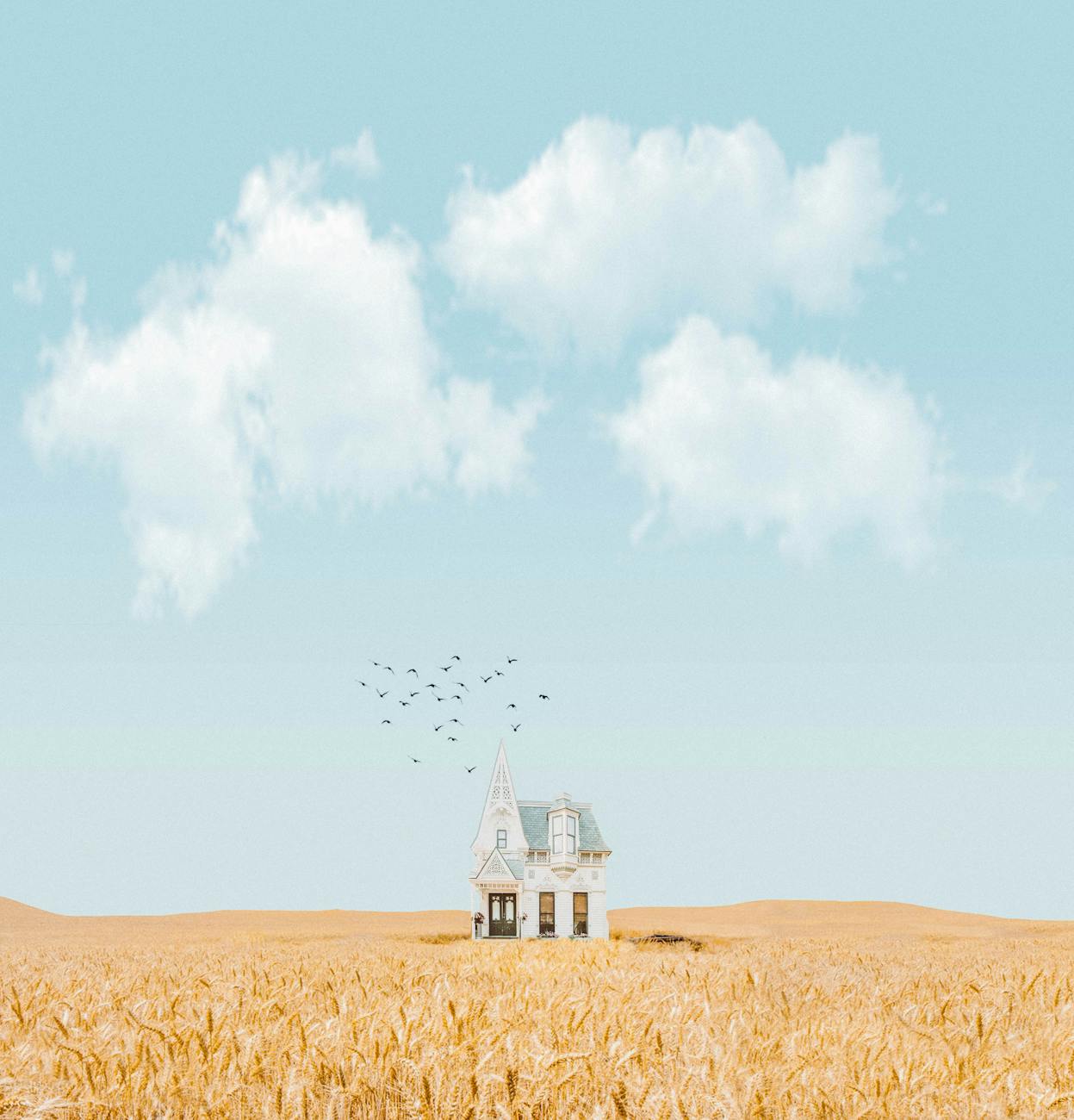A white house isolated in a golden wheat field, with a vibrant blue sky and fluffy clouds above.