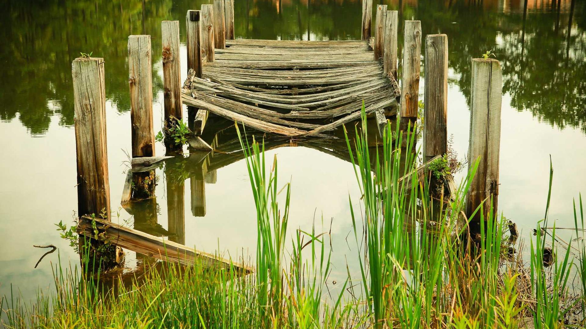 Random image from Lorem Picsum