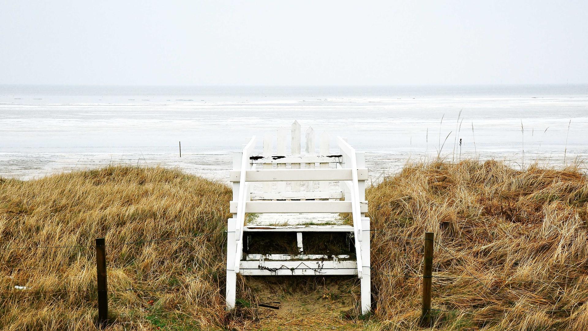 Random image from Lorem Picsum