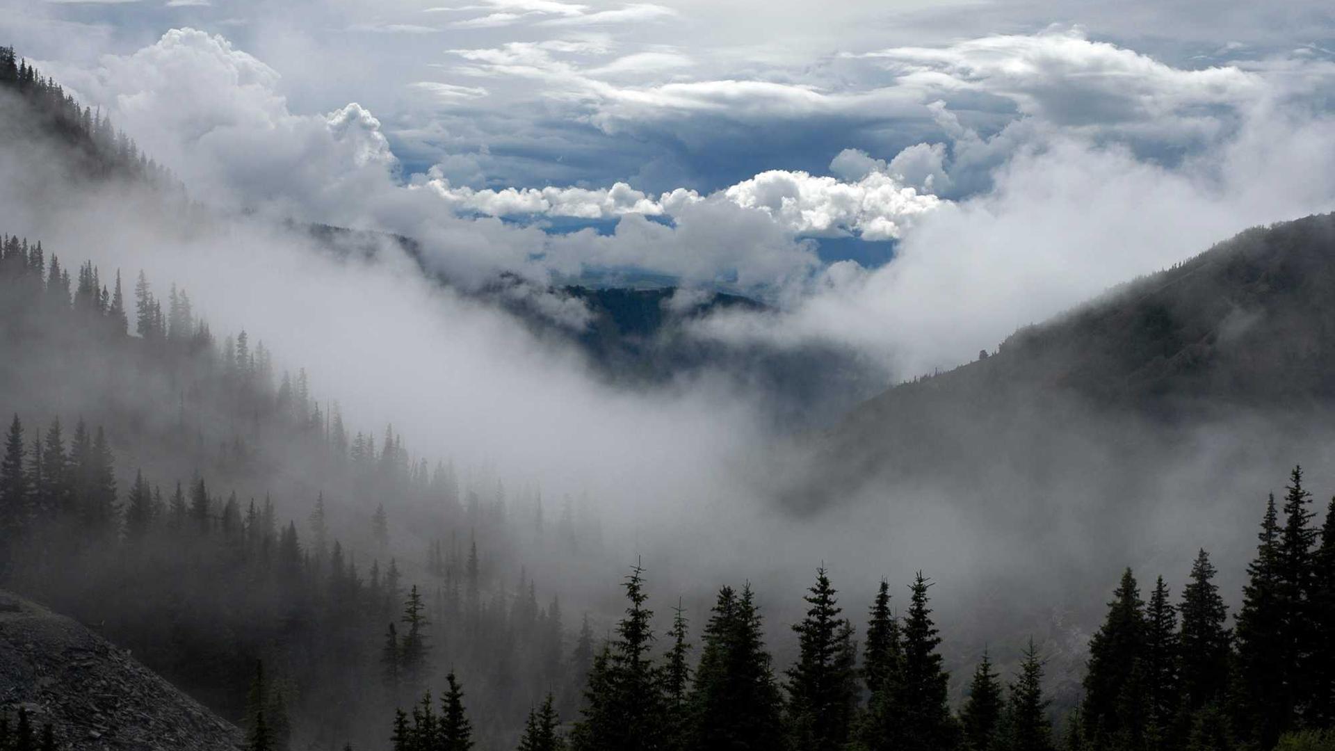 Random image from Lorem Picsum