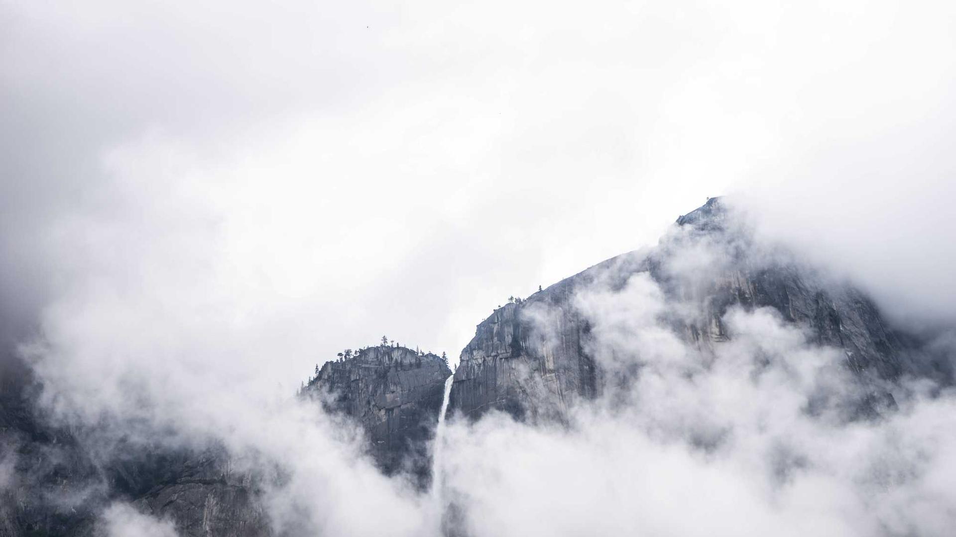 Random image from Lorem Picsum