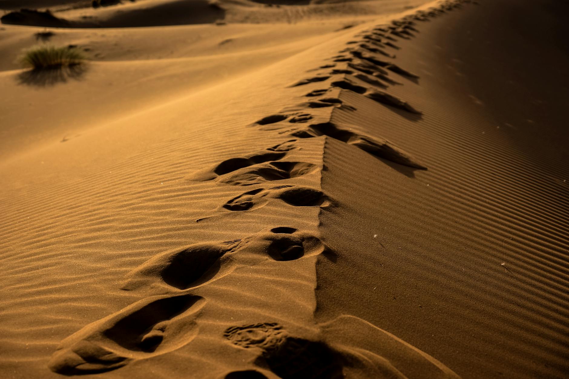 Footprints trail across sand dunes in Morocco's Ksar Tanamouste, captured at sunset.