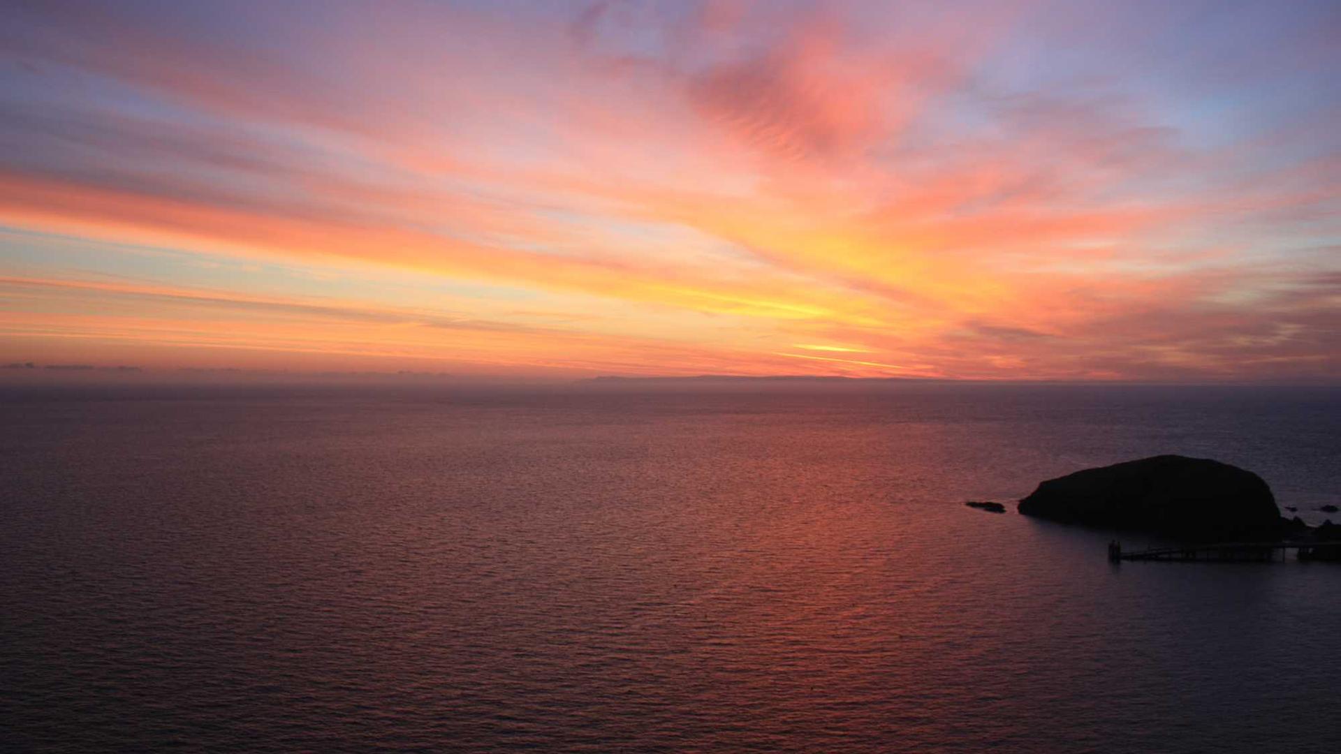 Random image from Lorem Picsum