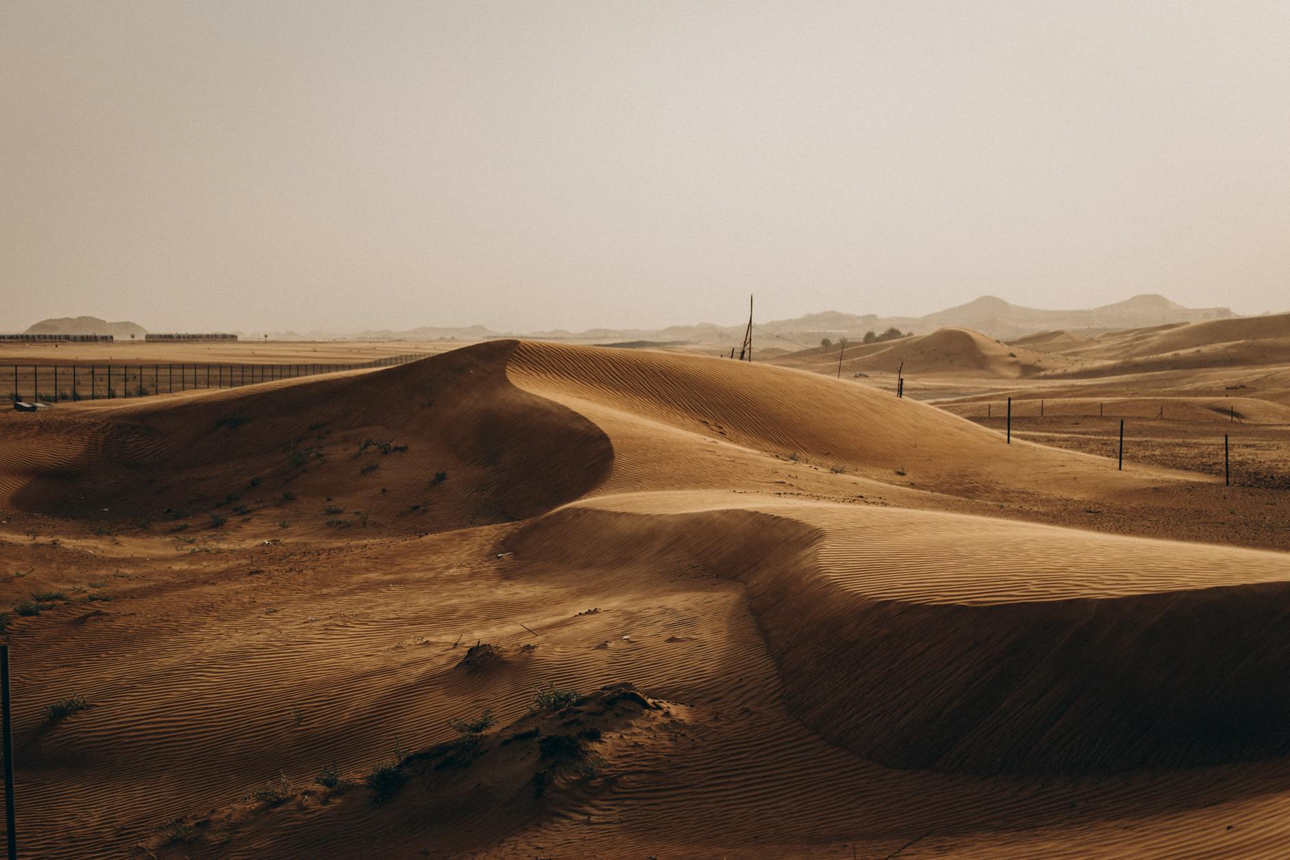 Captivating golden sand dunes in Al Ain, showcasing the serene beauty of the UAE desert under a setting sun.