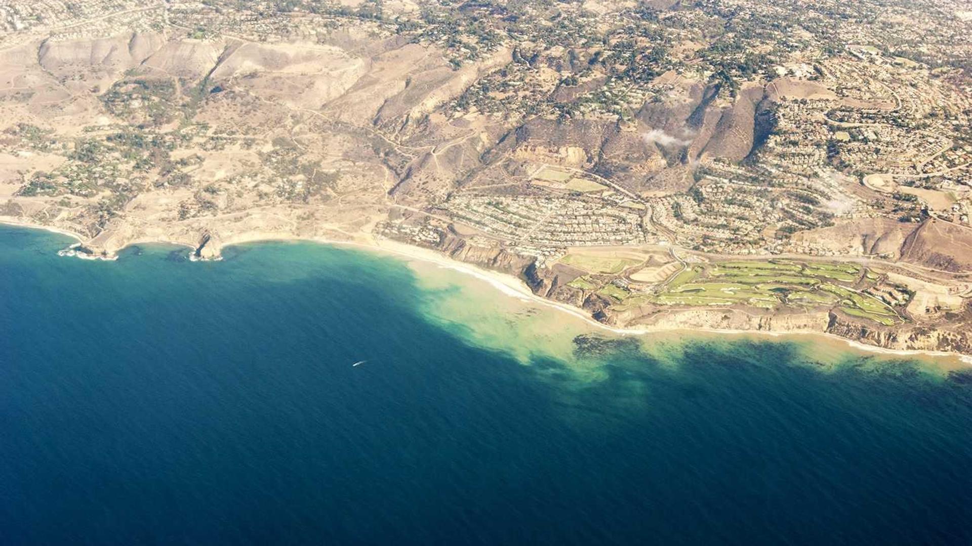 Random image from Lorem Picsum