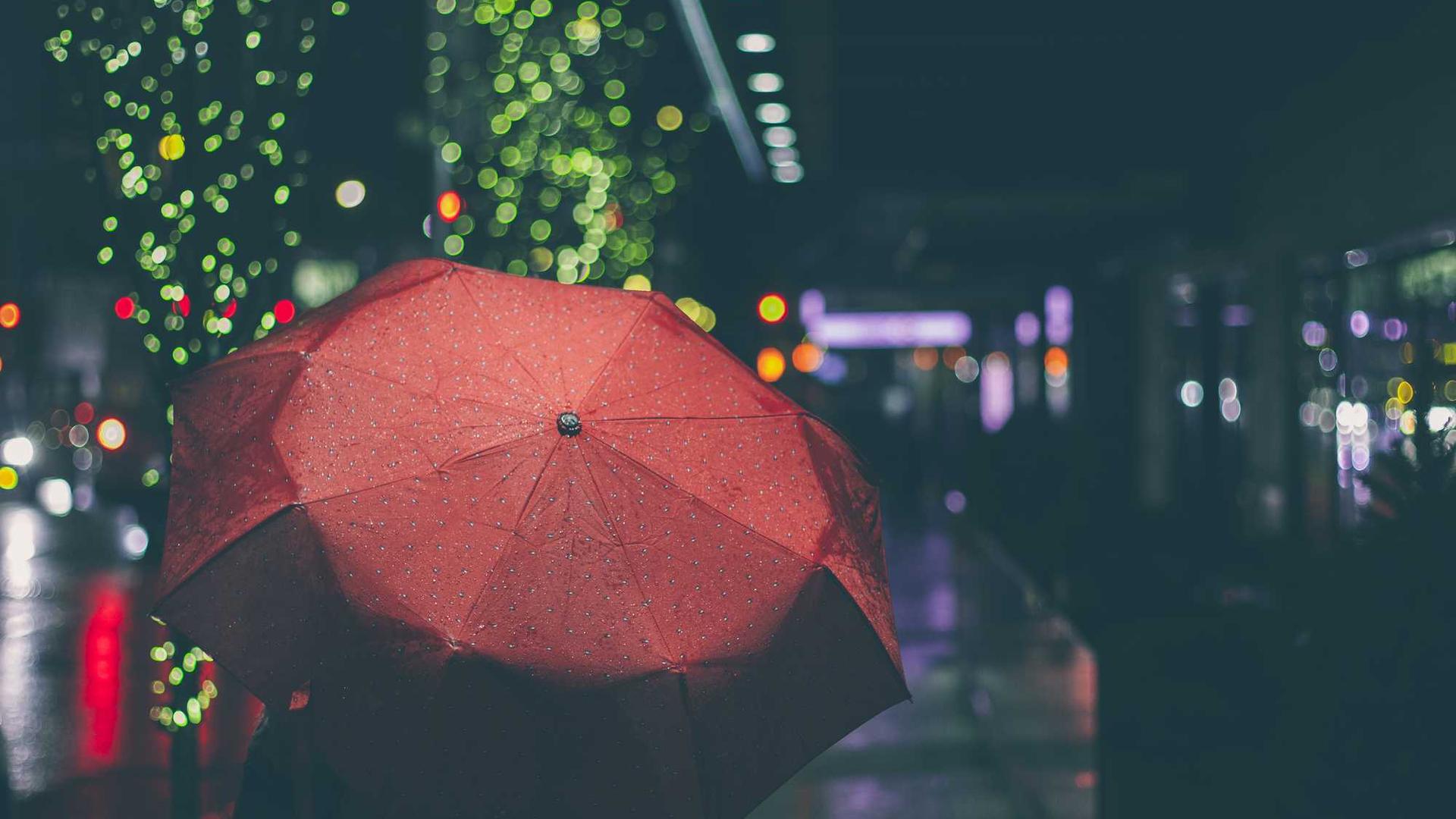 Random image from Lorem Picsum