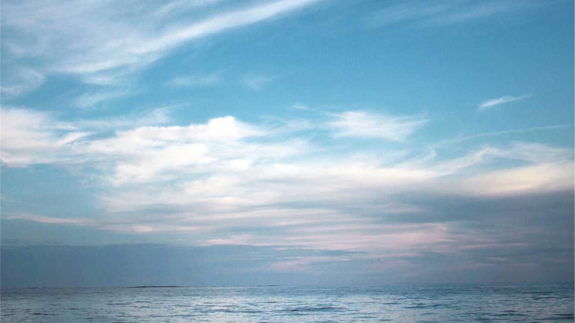 Random image from Lorem Picsum