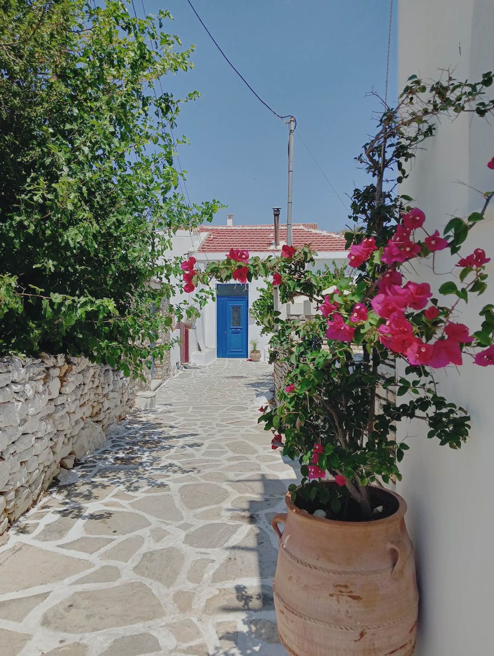 Picturesque alley in Naxos, Greece, adorned with vibrant bougainvillea and stone pathway, capturing Mediterranean charm.