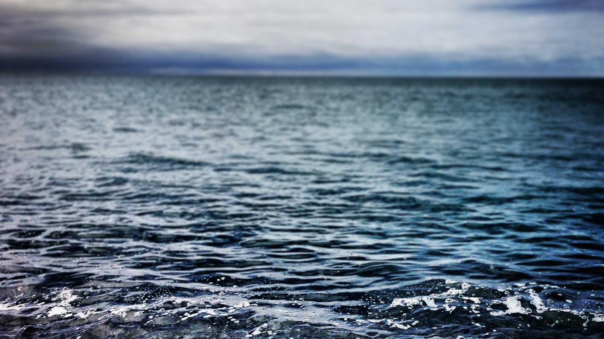 Random image from Lorem Picsum