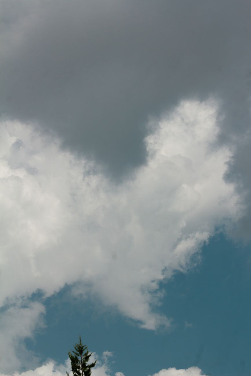 Low angle view of dramatic clouds contrasting in color over a green landscape.