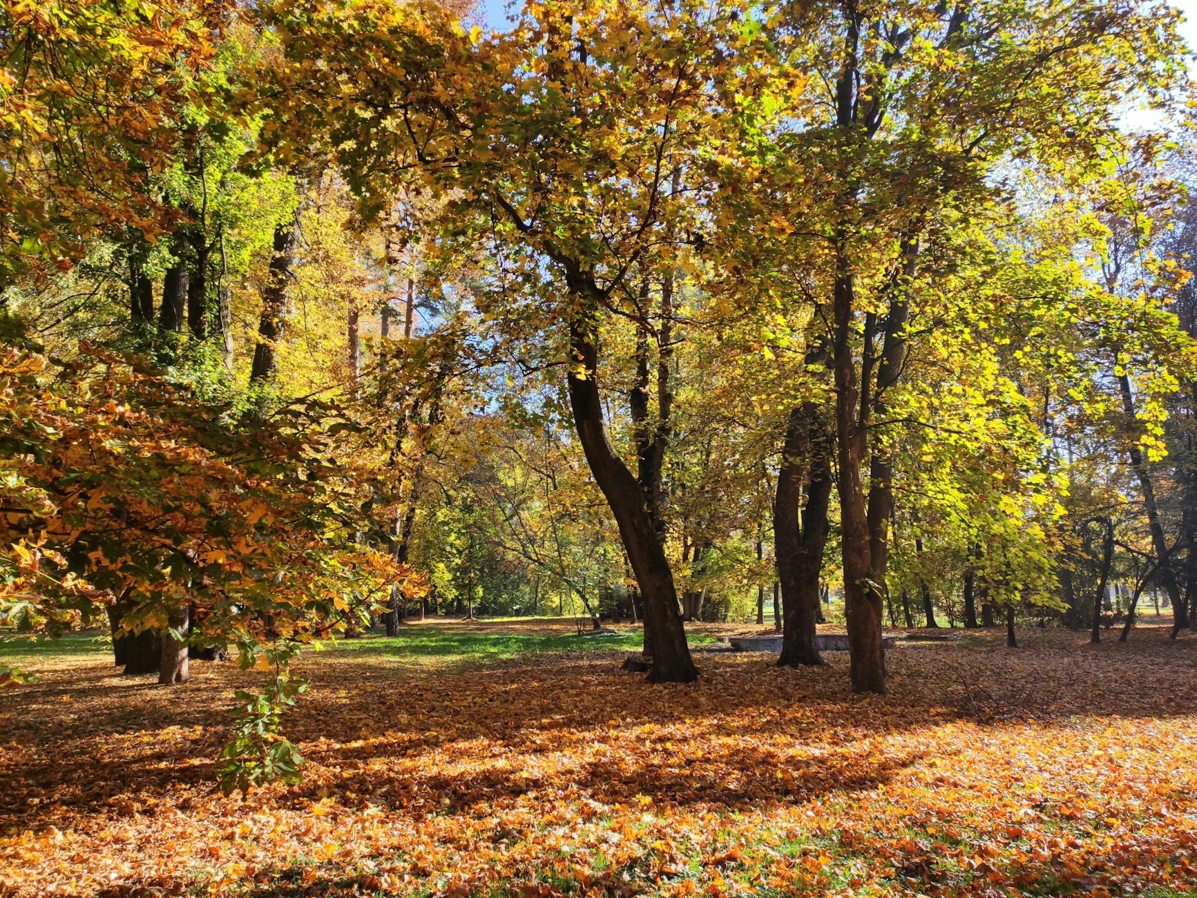 Explore the vibrant autumn colors in a peaceful park setting in Sarajevo, Bosnia and Herzegovina.