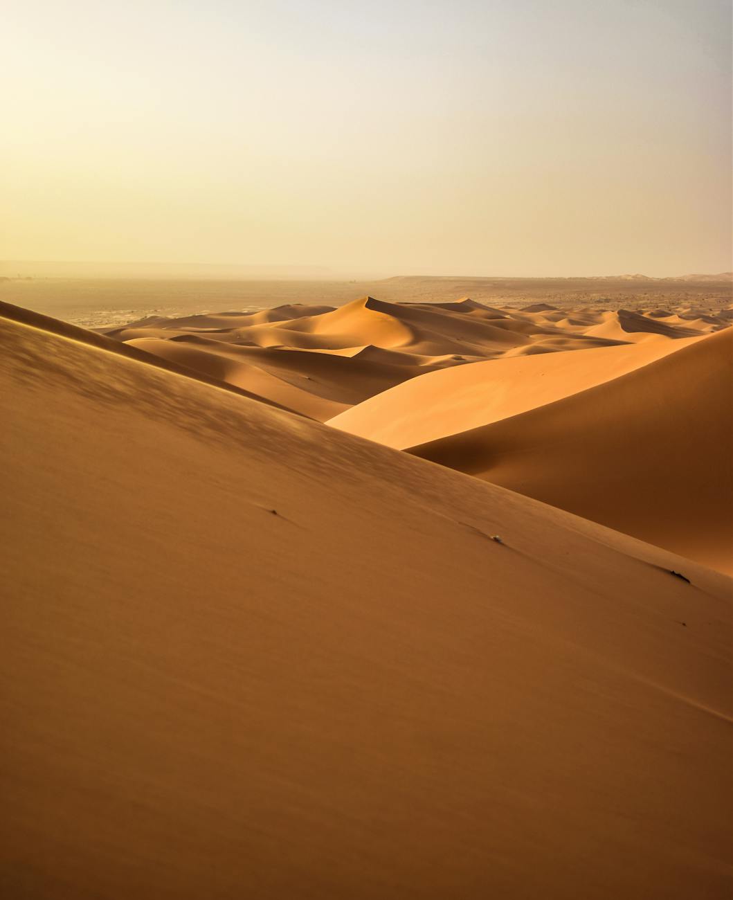Stunning view of golden sand dunes under a serene sunset in the Algerian Sahara Desert.