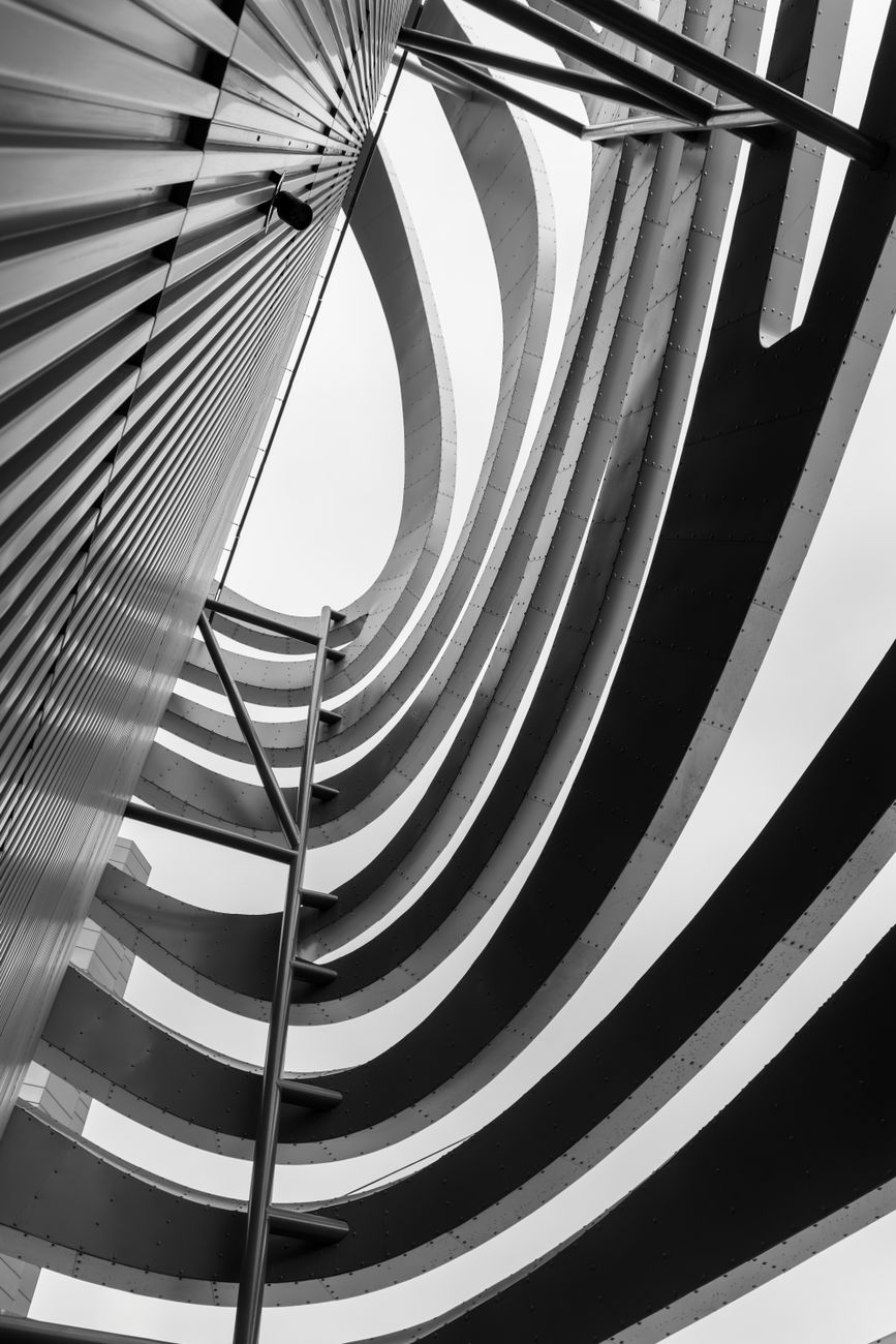 Dynamic black and white photo showcasing abstract architectural curves and lines.