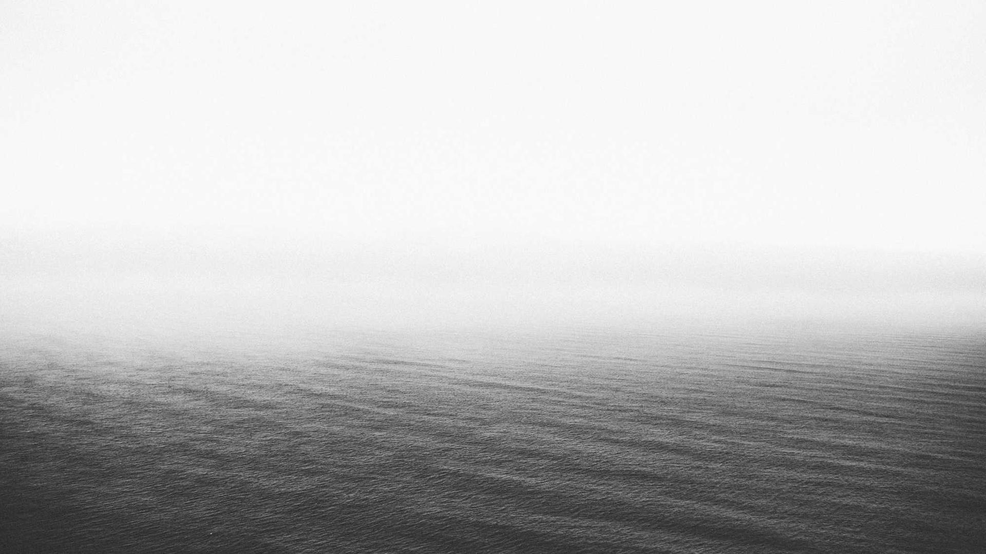 Random image from Lorem Picsum