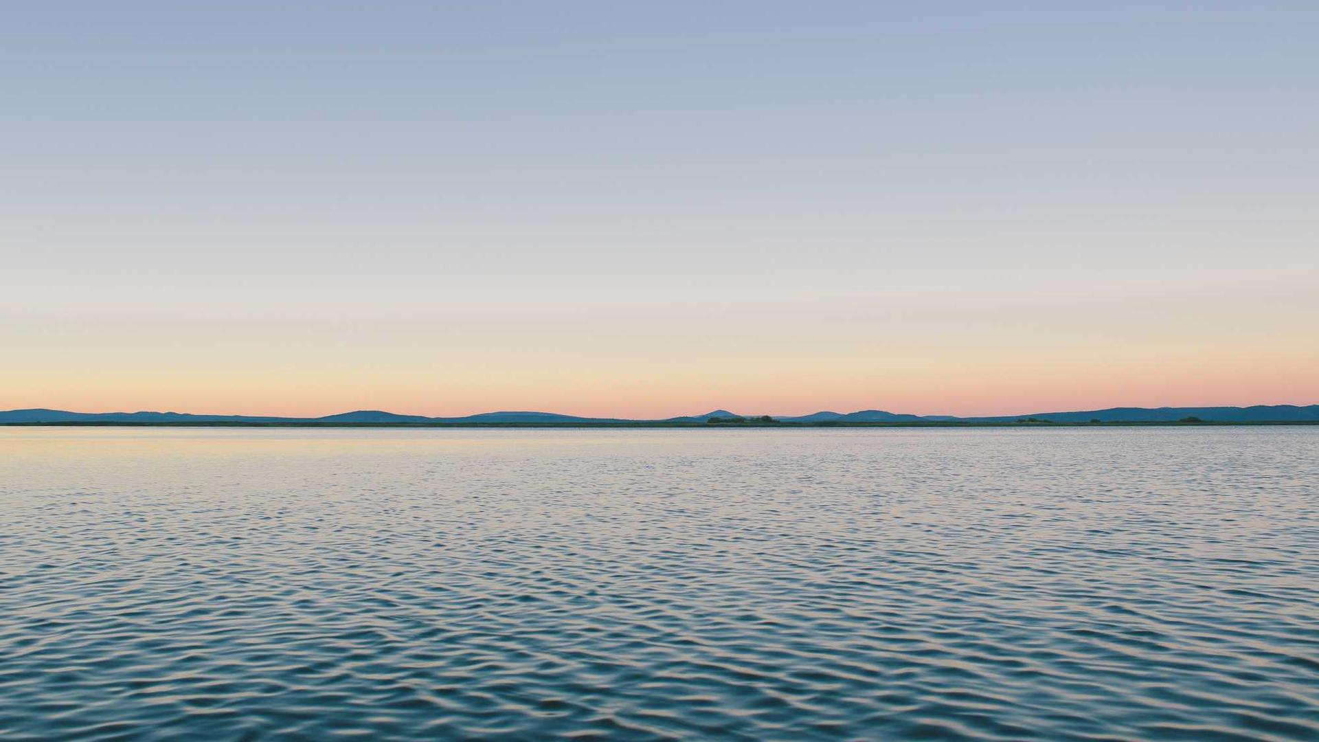 Random image from Lorem Picsum