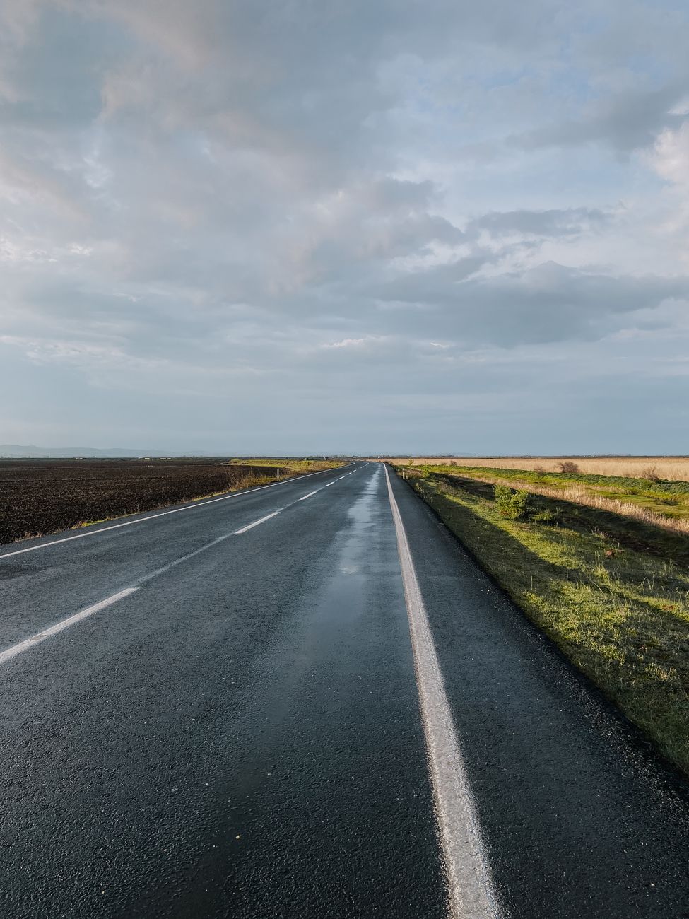 A straight, wet road extends towards the horizon under a cloudy sky, showcasing serenity and travel.