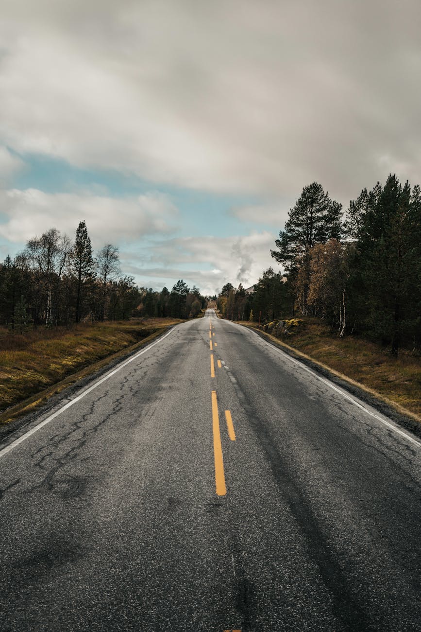 A quiet and empty road stretches through a picturesque forest under a cloudy sky, ideal for travel themes.