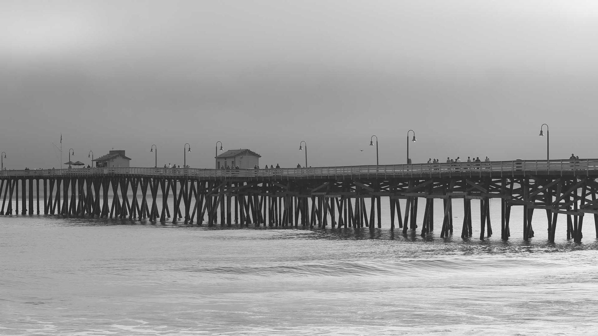 Random image from Lorem Picsum