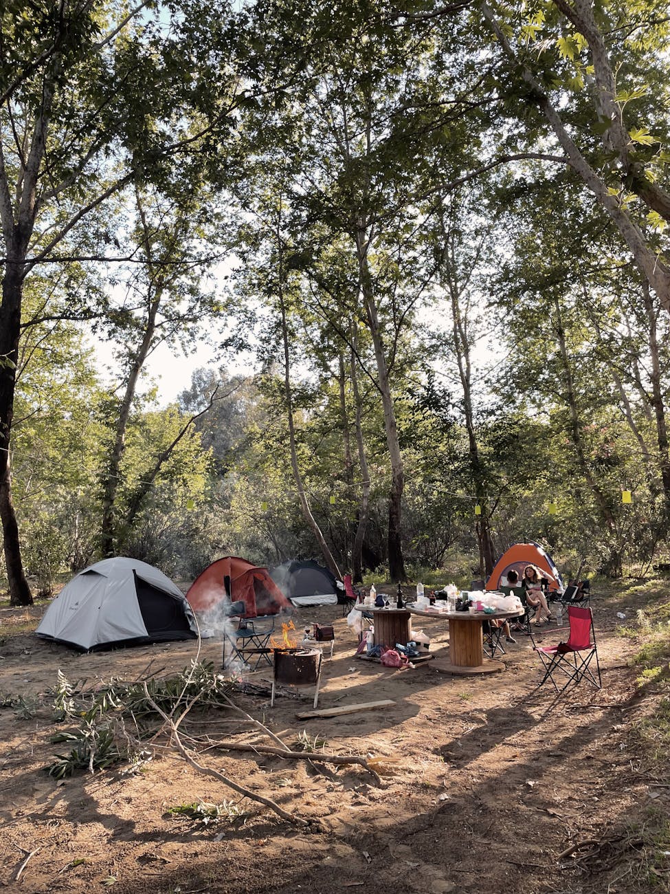 Serene camping site amidst tall trees in Karaisalı, Turkey. Perfect outdoor retreat.