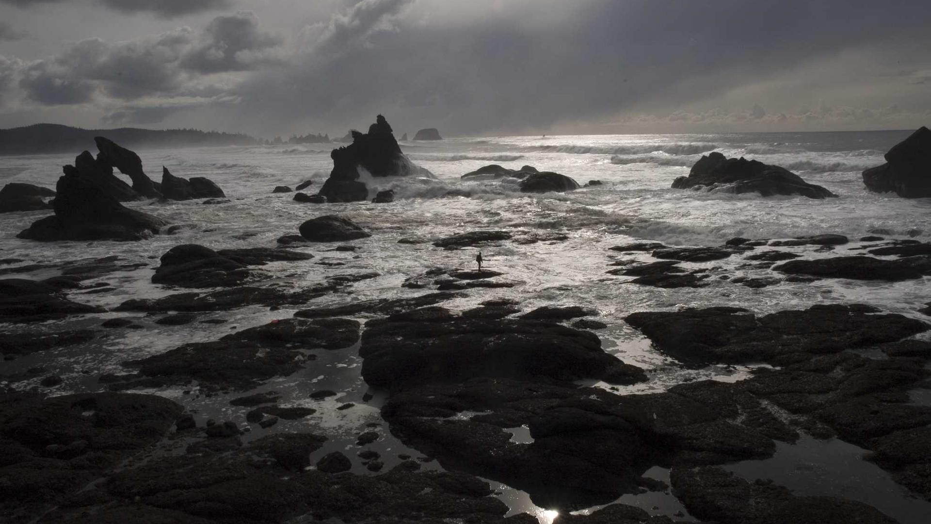 Random image from Lorem Picsum