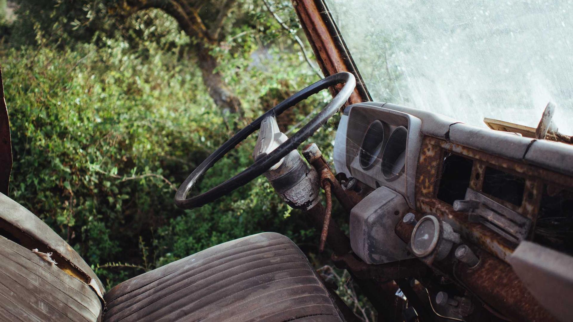 Random image from Lorem Picsum