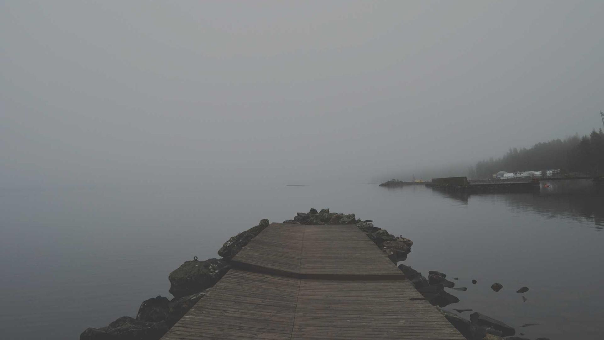 Random image from Lorem Picsum