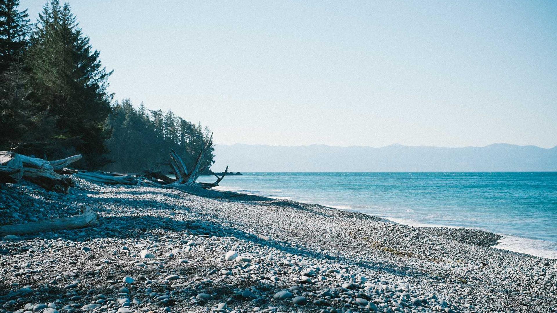 Random image from Lorem Picsum