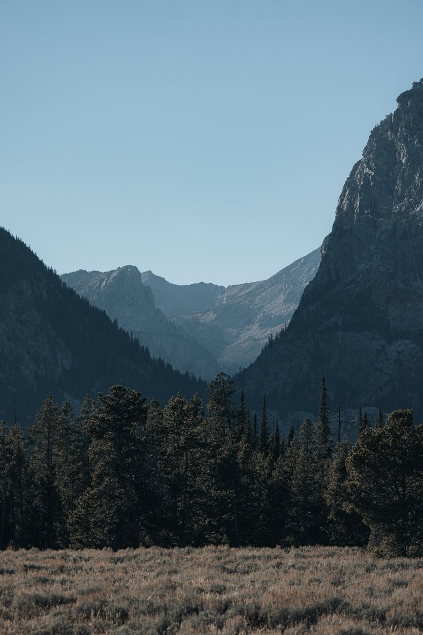 A tranquil mountain landscape with lush trees, beautifully capturing nature's serene beauty.