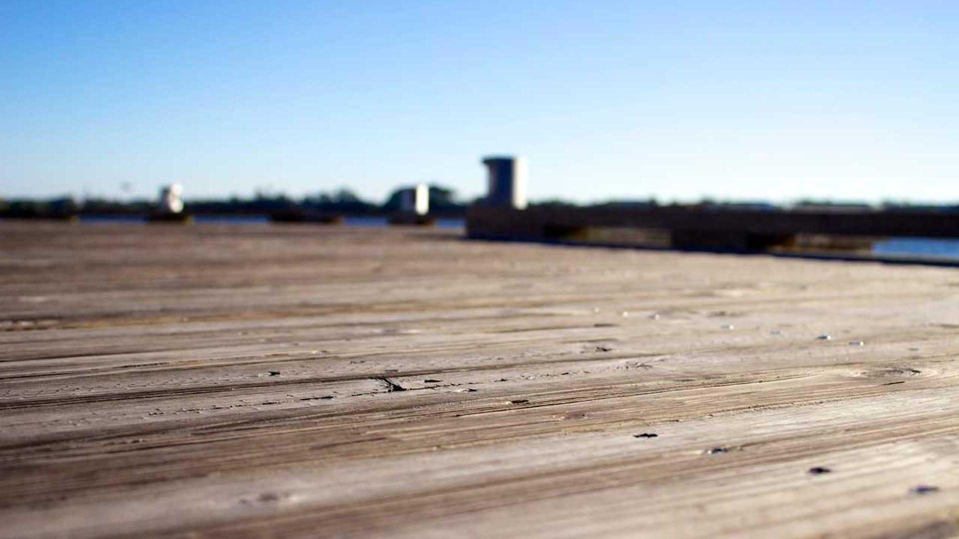 Random image from Lorem Picsum